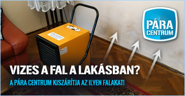 Vizes a fal a lakásban?